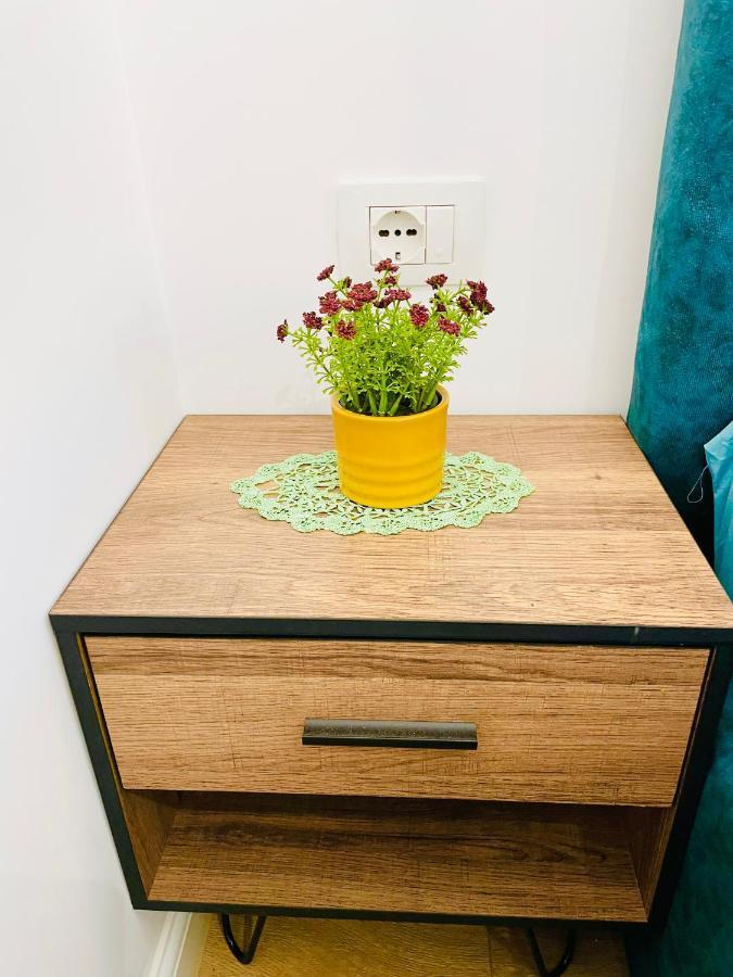 Central Studio Apartment 1, تيرانا المظهر الخارجي الصورة